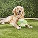 ChuckIt! Kick Fetch Dog Toy Ball, Glow In The Dark, Small