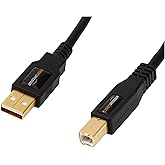 �鶹�� Basics USB 2.0 Printer Type Cable - A-Male to B-Male - 16 Feet (4.8 Meters),Black