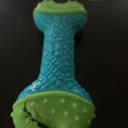 kong core strength bone review