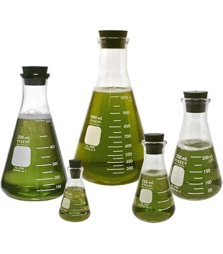 Corning Pyrex Beaker Set With Magnetic Stir Bars - 5 Sizes: 100, 200, 400, 600, 1000ml Borosilicate Glass