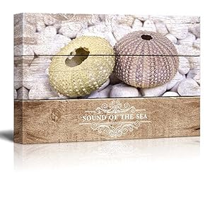 Marine Theme Beautiful Sea Urchin Wall Decor