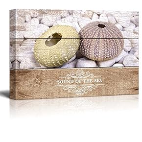 Marine Theme Canvas Wall Art - Beautiful Sea Urchin - Giclee Print Modern Wall Art | Stretched Gallery Wrap Ready to Hang Home Decoration - 12x18 inches