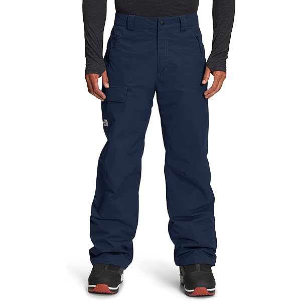 Amazon.com : The North Face Men's Seymore Pant, L Regular