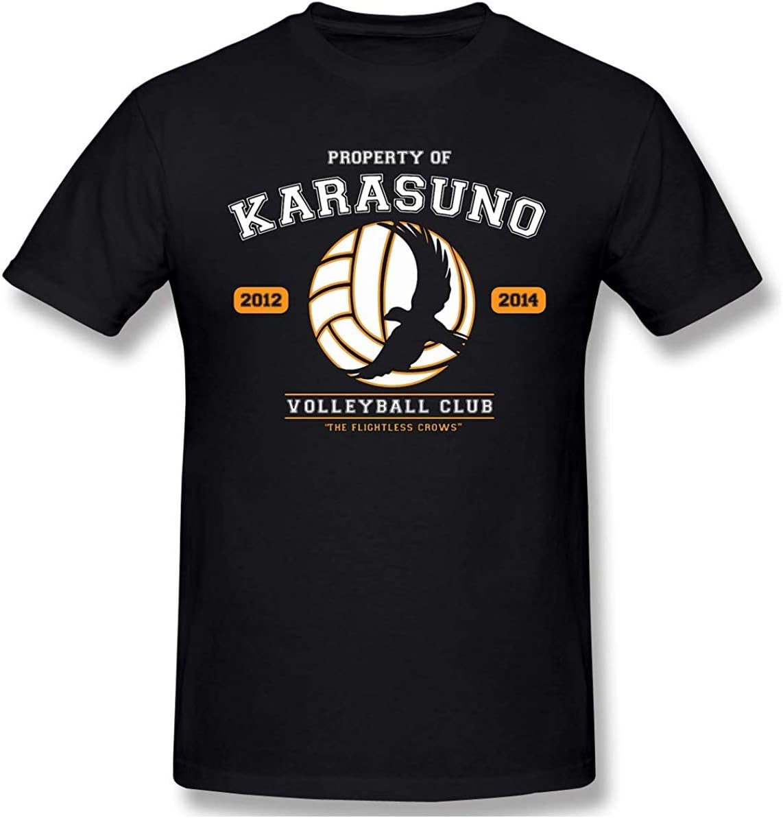 ARQY Interesting Anime Haikyuu Team Karasuno Men's Short-Sleeved Standard T-Shirt Black