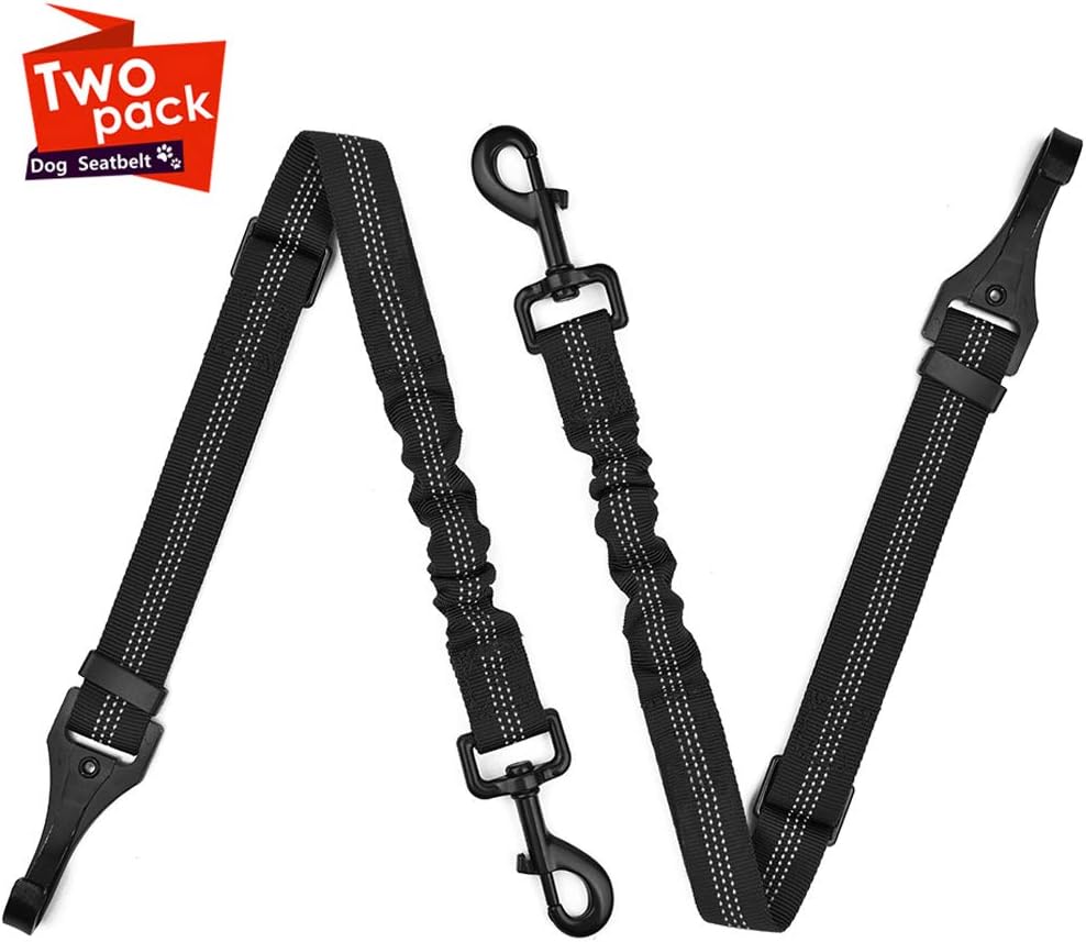 Best dog car seat with leash attachment