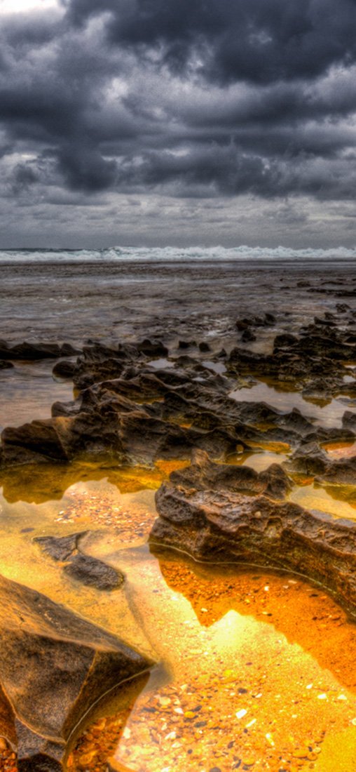 PeelitStickit, Beautiful Nature Wall Murals, ID-0771, vinyl