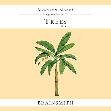 Brainsmith Quantum Flash Cards, Trees - Educational Flashcard Set 1 for Toddlers and Kids (8 months to 8 years) for Visual and Brain Development