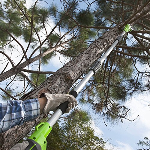 Greenworks G24PS20K2 Akku Hochentaster,20 cm Blattlänge, 6,7 m/s Kettengeschwindigkeit, 3,2 kg, automatisches Ãl-System, 50 ml Ãltank, 2,6m Stangenreichweite,24V 2Ah Akku & Ladegerät, 3 Jahre Garantie – Bild 6