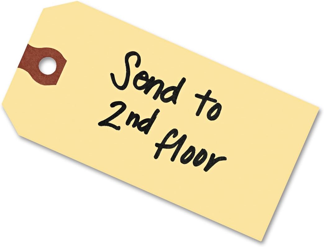 Avery 12306 Unstrung Shipping Tags, 13-pt. Stock, 5 1/4 x 2 5/8, Manila (Box of 1000)