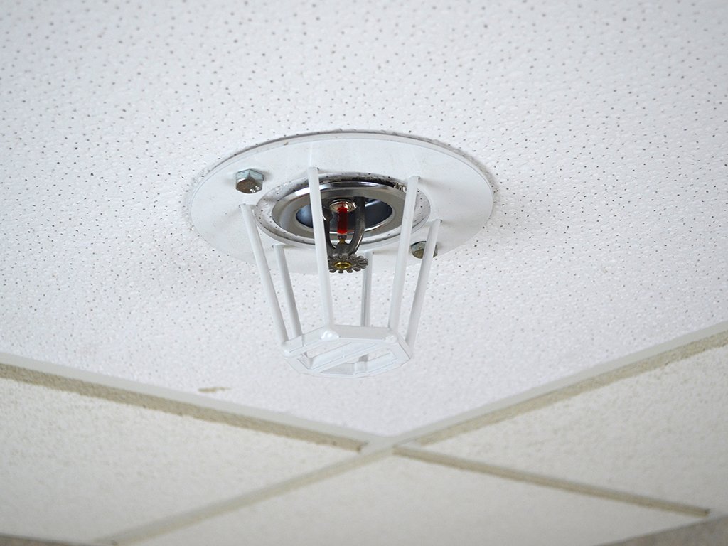 Ceiling Mount Fire Sprinkler Guard Amazon Com Industrial