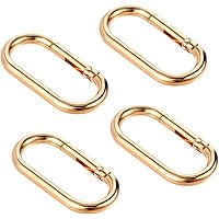 HANDLE WITH CARE CARABINER GOLD カラビナ 金 HANDLE WITH CARE CARABINER GOLD – BlackEyePatch