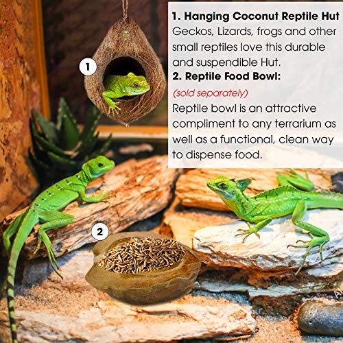image for SunGrow Crested Gecko Coco Hut --- Treat & Food Dispenser - Sturdy Han