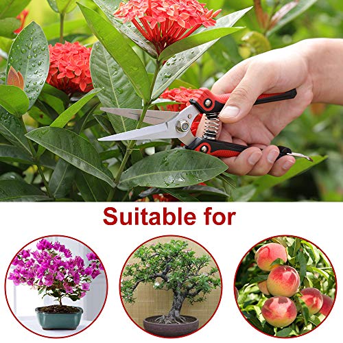 WYF 8.1″Gardening Hand Pruner Pruning Shear with Straight Stainless Steel Blades,Ultra Sharp Multi-Purpose Scissors for Garden Harvesting Fruits & Vegetables,Trimming Flowers and Plants (Red) - Thumbnail 6