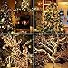Lumitify 2 Pack Solar Christmas String Lights, 72ft 200 LED Fairy Solar Lights Decorative String Lights for Christmas, Home, Lawn, Patio, Garden, Wedding, Party and Holiday Decorations(Warm White)