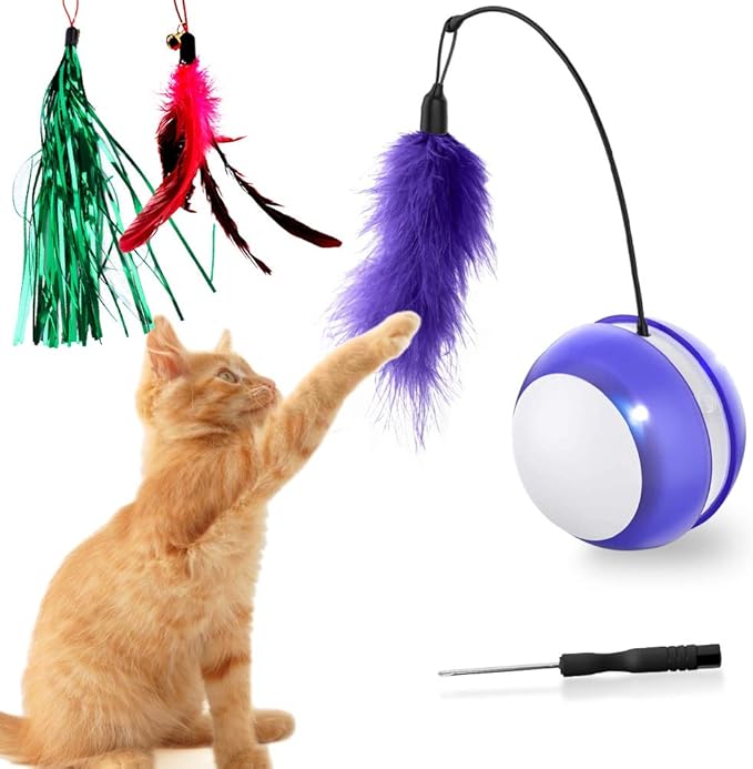 robotic cat toy