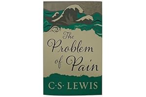 The Problem of Pain