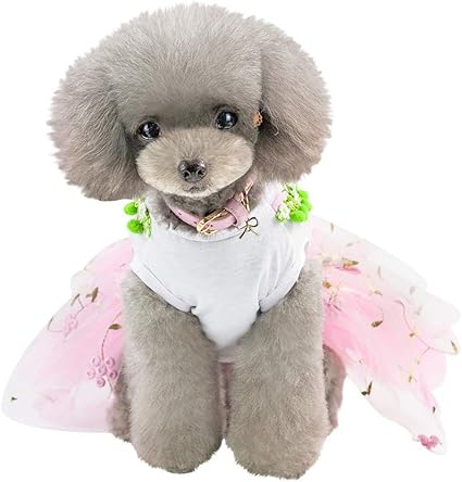 Aiorniy Chat Chien Chien Chat Robe Imprimer Amour Chien Robe