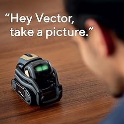 Vector Robot by Anki, A Home Robot Who Hangs Out