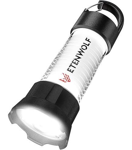 Amazon.com: Goal Zero Lighthouse Micro Flash Lantern, USB