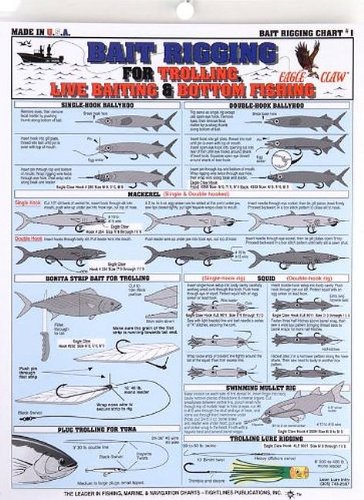Fishermans Bait Rigging Chart #1 - MasterBasser