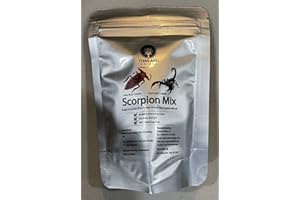 GENERIC Thailand Unique Scorpions Human Edible - Insects - 1 Bag High Protein Bug Superfood (Asian Forest)