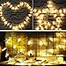 Zedoli Waterproof 20 LED Photo Clips String Lights, Battery Powered,String Lights for Indoor/Outdoor Decorate,String Lights with Photo Clips for Hanging Pictures,Cards and Artwork(10 Ft,Warm White)