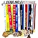 Medal Display + Fear No Distance + Medal Display Rack for 30+ Medals + for Marathon, Running, Race, Sports Medals - Silver