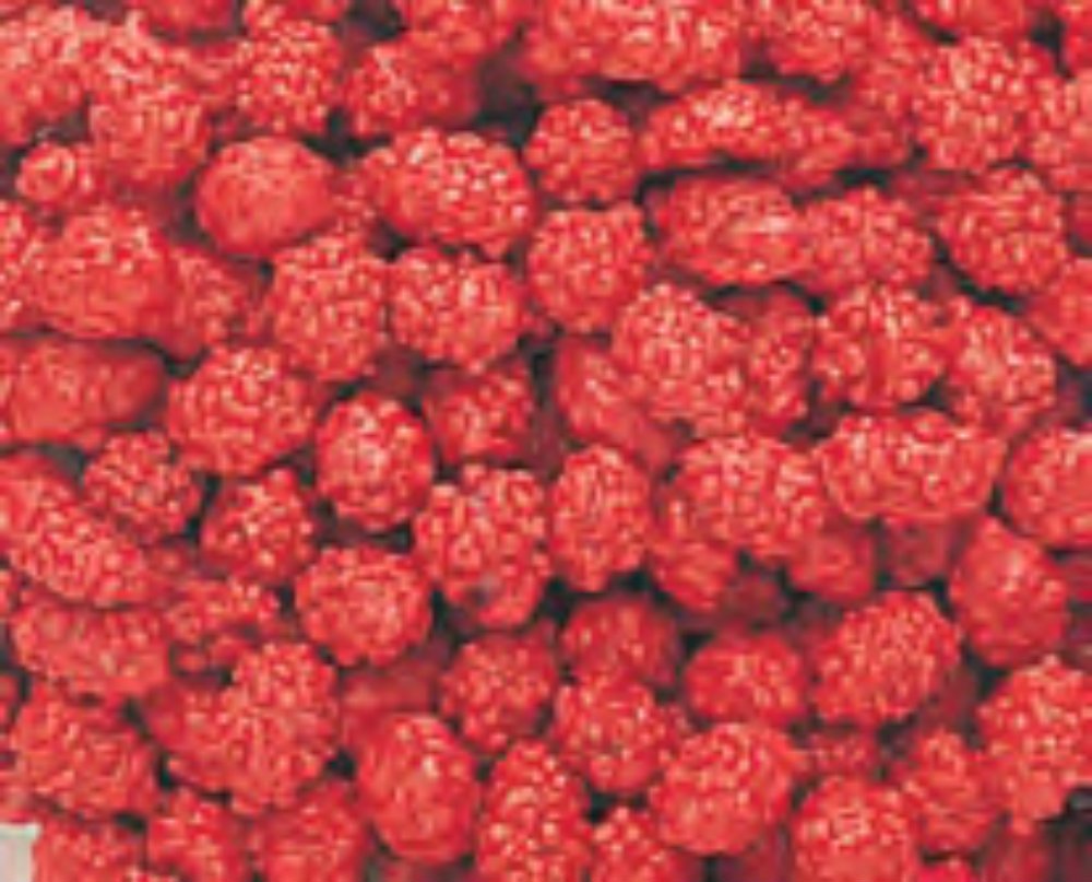 French Burnt Peanuts Candy 1LB Bag