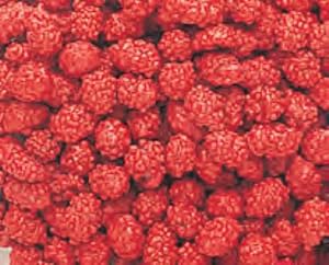 French Burnt Peanuts Candy 1LB Bag