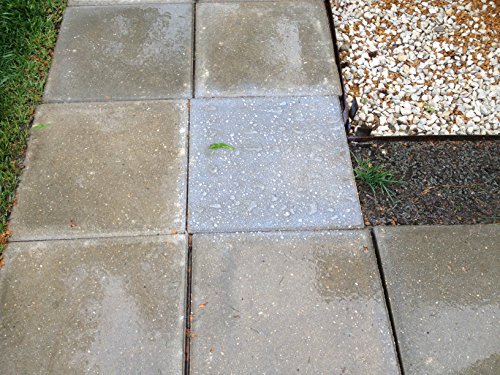 Rust-Oleum Repelling Treatment - Image 6