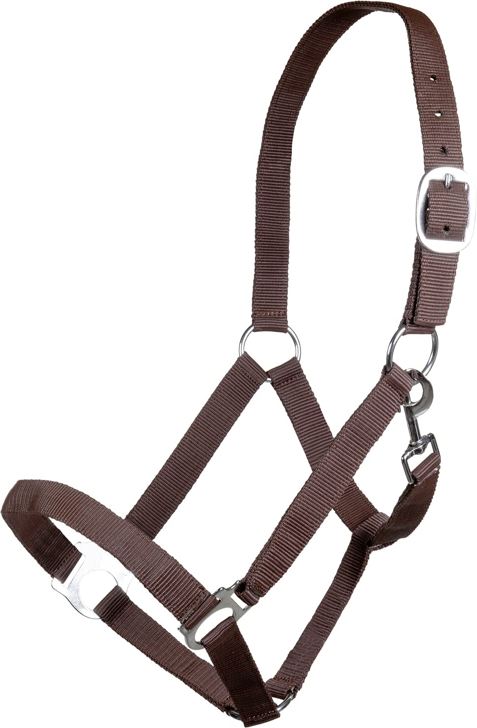 Posten Halter-10978 Halter 2100 Dark Brown Thoroughbred