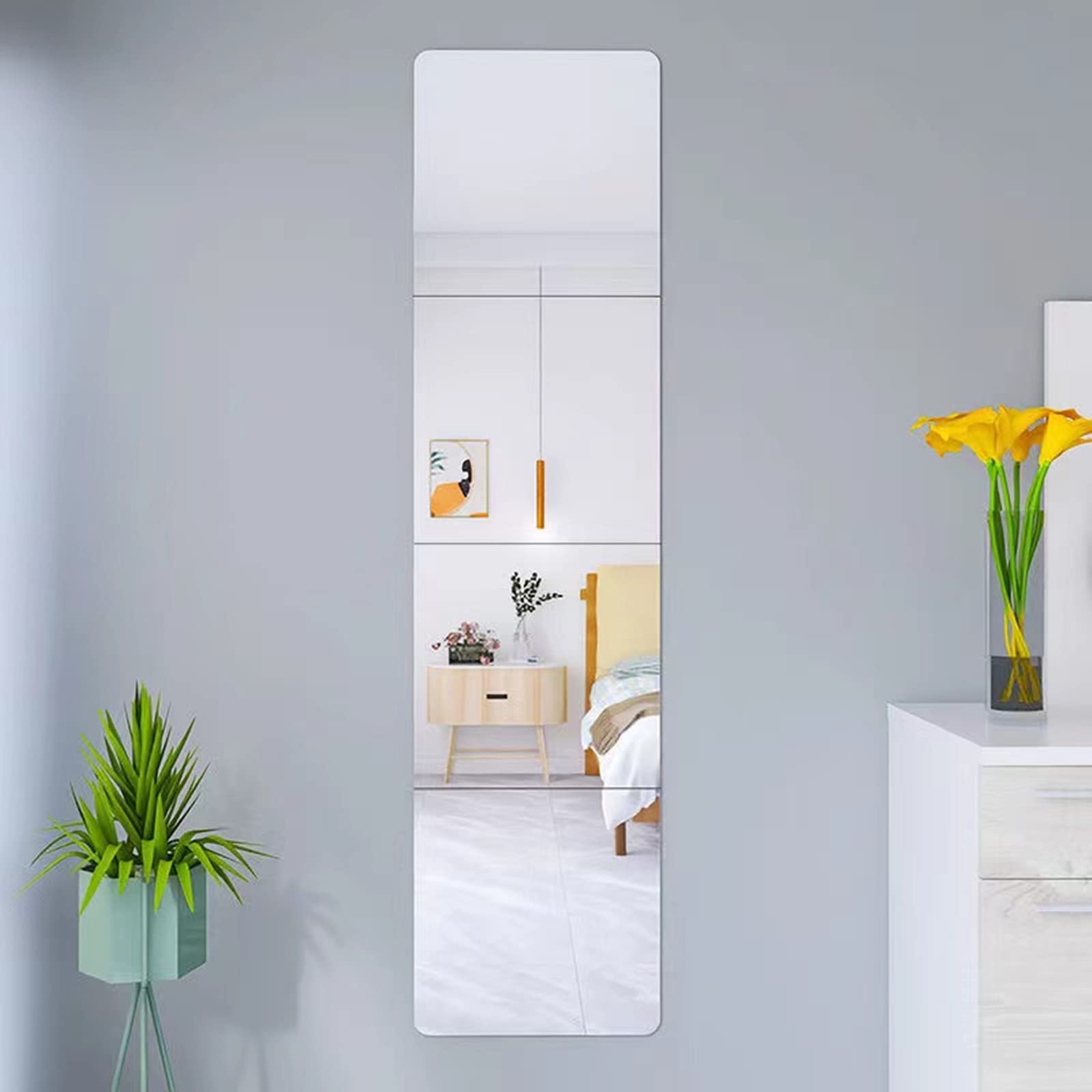 JEOYOO Wall Mirror Full Length, Cheap Over / On Door, Acrylic