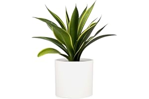Fox & Fern Large 12 Inch Plant Pot with Hidden Saucer - Premium Lightweight Fiberstone Self Watering Plant Pot; Large Indoor Plant Pot & Outdoor Planter; 12 Inch Pots for Plants Indoor; Floor Planter