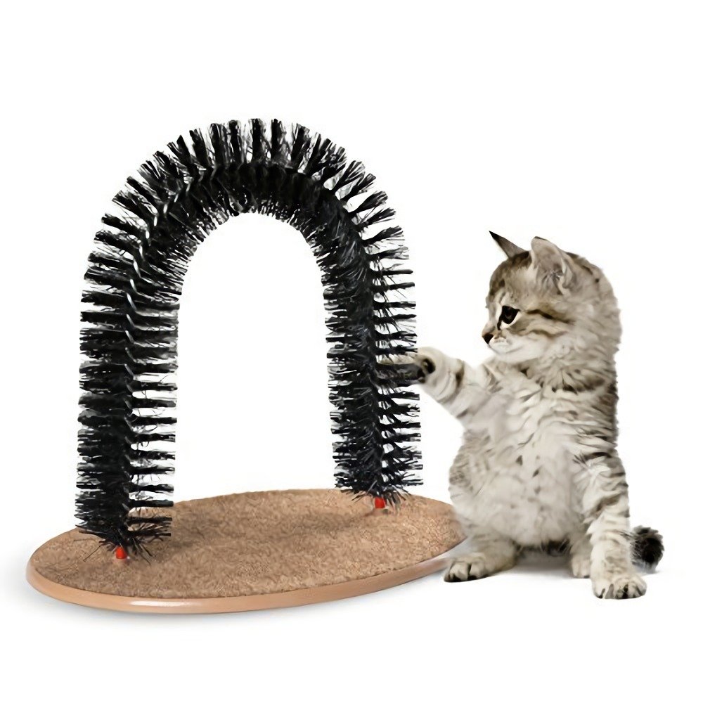 10 Best Cat Massage Combs Best Choice Reviews