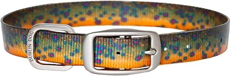 trout dog collar