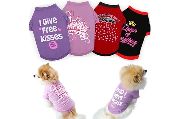 amazon prime dog clothes