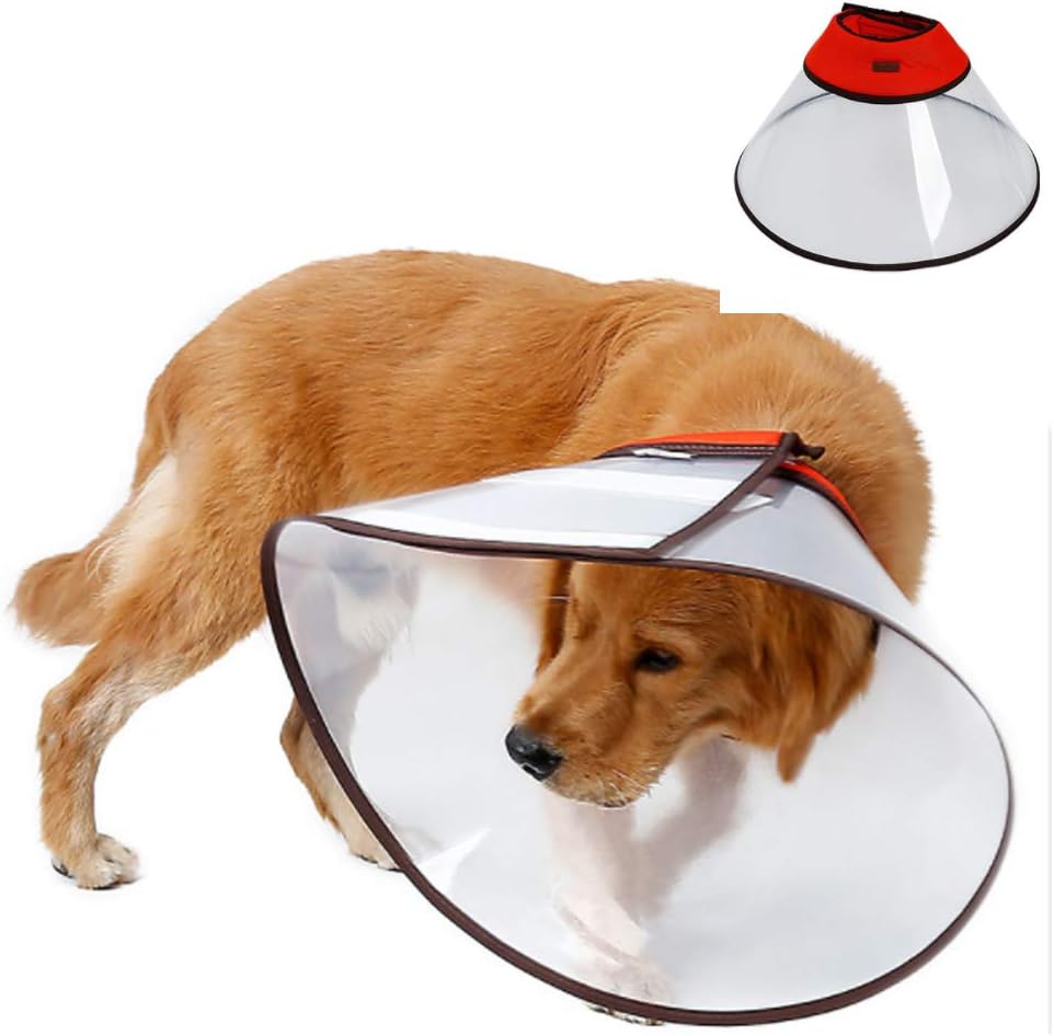 plastic dog neck cone