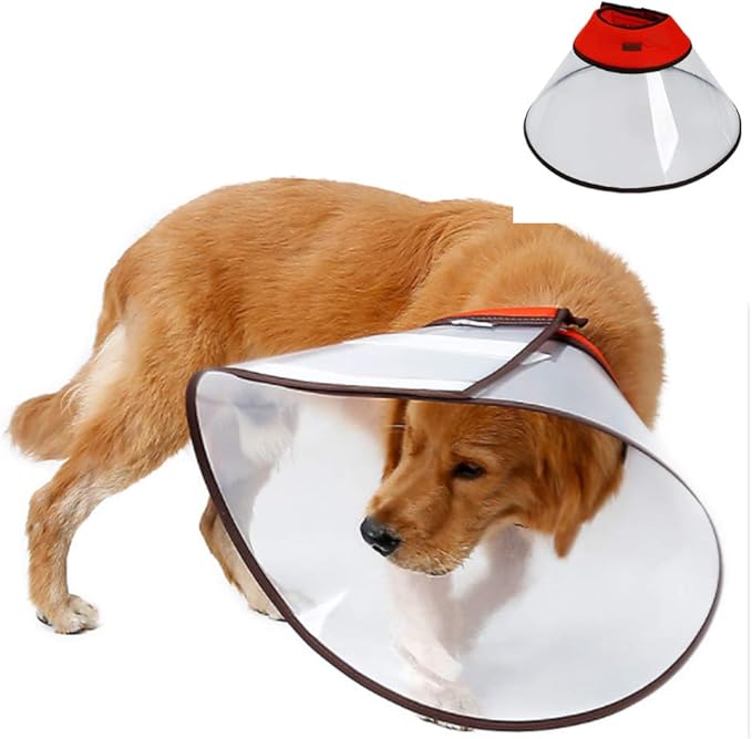 protective dog collar