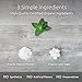 Simply Natural Organic Breath Mints, Peppermint, Powerful Fresh Breath Natural Candy, 3 SIMPLE INGREDIENTS, USDA Certified Organic, 50-Piece Tins, (Pack of 4) 200 Pieces