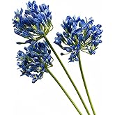 DODXIAOBEUL 3 Pcs Long Stem Artificial Flowers,26" Blue Artificial African Agapanthus,Silk Flowers for Wedding Bouquet Home Hotel Arrangement Party Decor