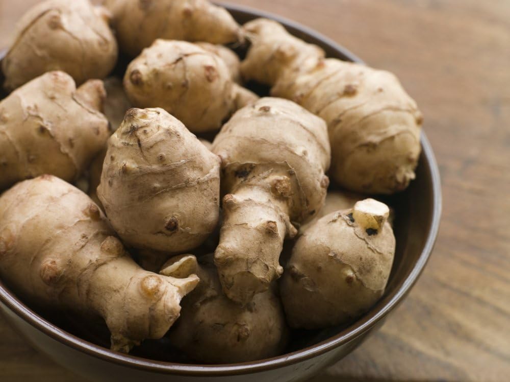 Jerusalem Artichoke, variety Stampede - Helianthus Tuberosus - 1.5 pounds - Organic