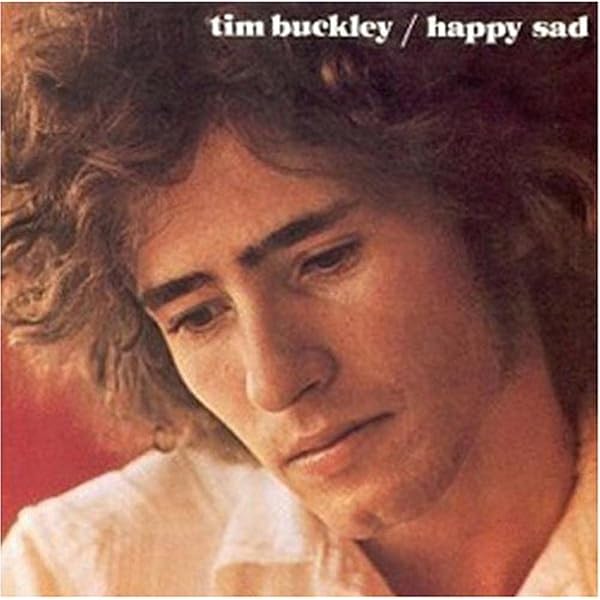 洋楽 Tim Buckley The Complete Album Collectio MDktMzI4OC5qcGVn.jpeg