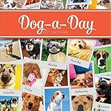 TF Publishing Dog A Day 2017 Wall Calendar