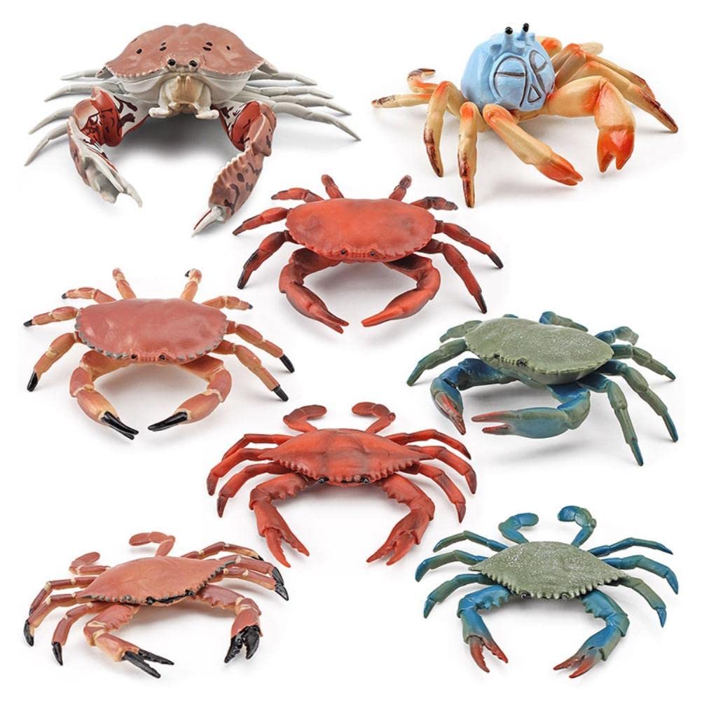 HELEVIA 8Pcs Realistic Sea Animal Figures, Simulation Static Crab Figurine, Cognitive Educational Model, for Desktop Ornament Collections Decorations