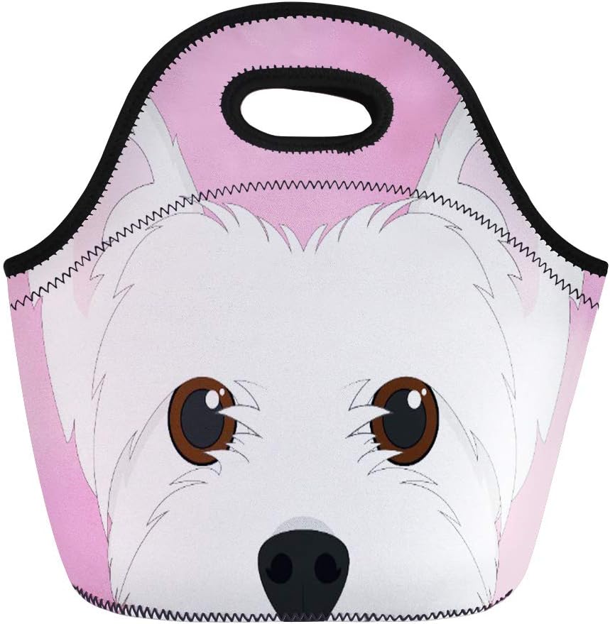 cute girly lunch boxes
