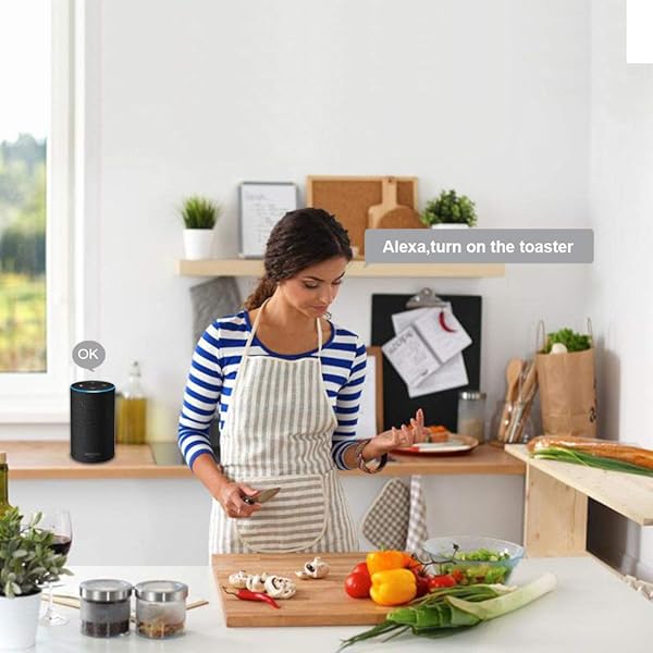 Zhuohong Mando a distancia inalmbrico WiFi Smart Plug WiFi hembra mini enchufe mando a distancia control de energa funcin de temporizador enchufe de la UE