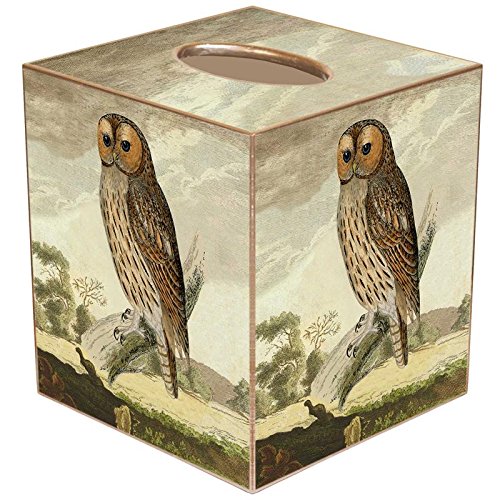 Marye-KelleyTB8266-Tawny Owl Tissue Box Cover