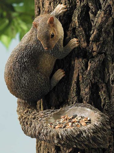 Amazon Com Squirrel Bird Feeder Wild Bird Feeders Garden