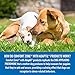 Comfort Zone Adaptil Diffuser Kit for Dog Calming