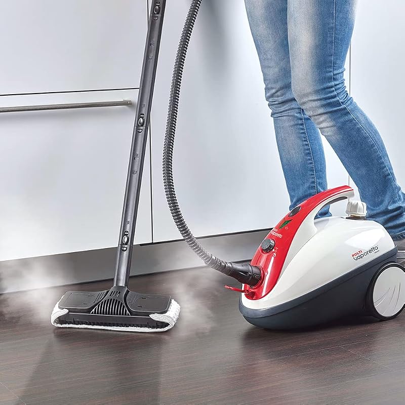 Vaporetto Smart 30 R, Dampfreiniger mit Boiler, 3 Bar Druck